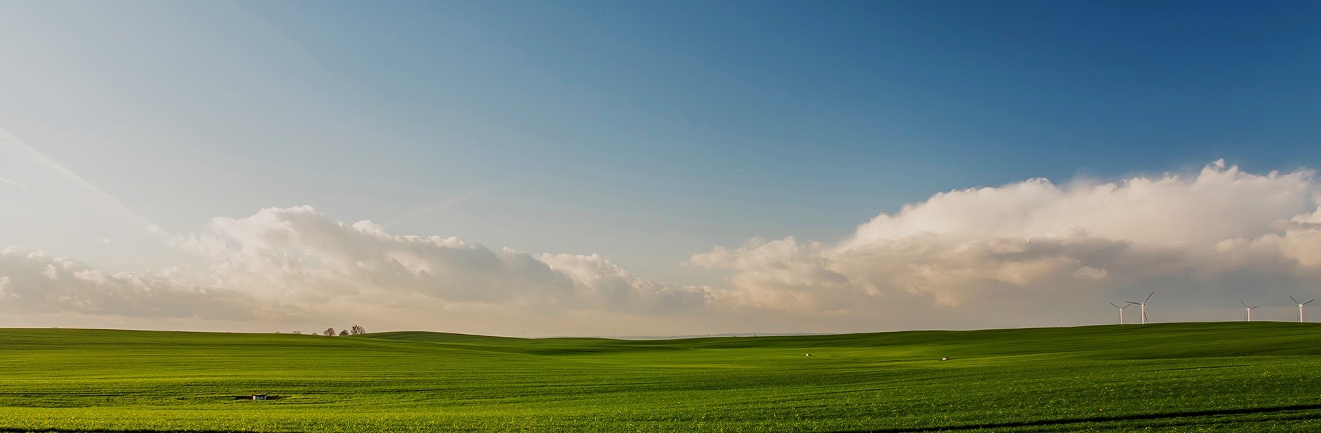 首页-人生就是博手机版