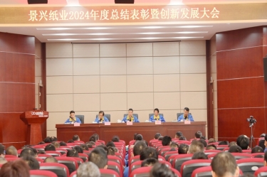 乘风破浪 逐梦前行 | 人生就是博手机版纸业2024年度总结赞美暨创新发展大会隆沉召开